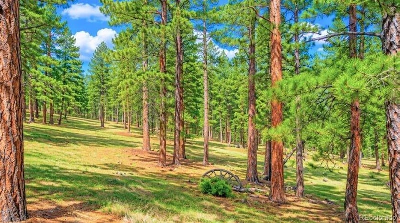 196 Freeman Dr, Florissant, CO 80816
