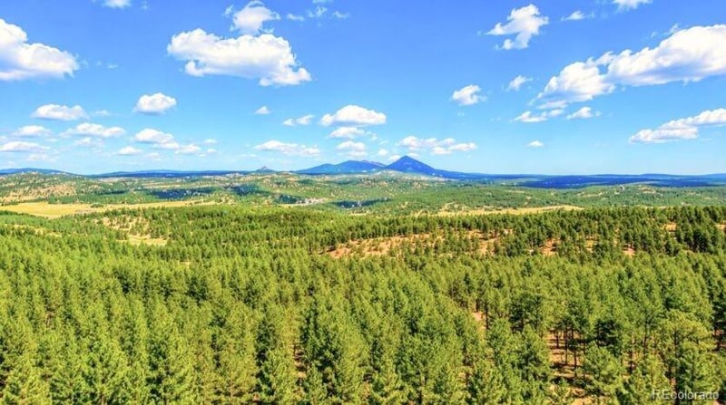 196 Freeman Dr, Florissant, CO 80816