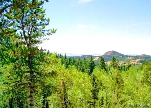 111 Co 67 , Cripple Creek, CO 80813