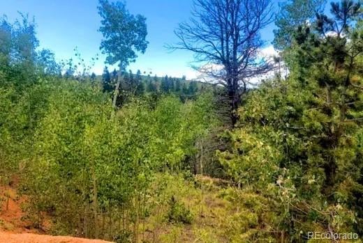 111 Co 67 , Cripple Creek, CO 80813