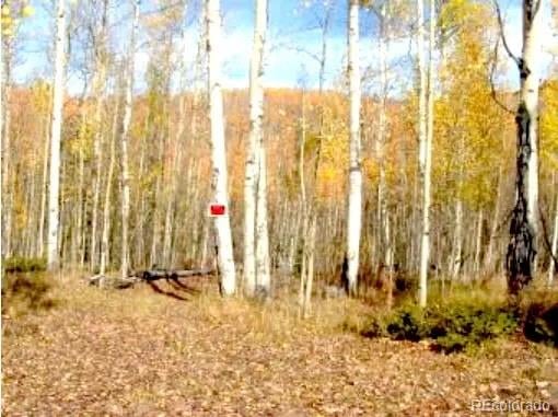 111 Co 67 , Cripple Creek, CO 80813