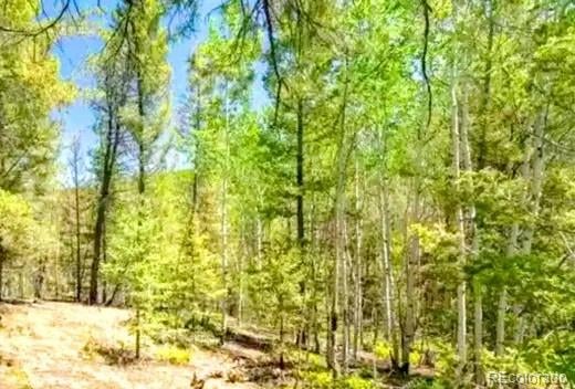 111 Co 67 , Cripple Creek, CO 80813