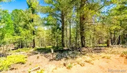 111 Co 67 , Cripple Creek, CO 80813