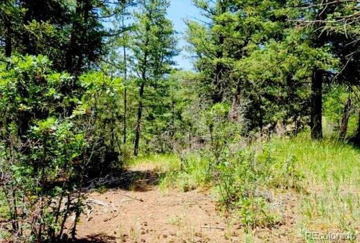 550 Deer Trl, Pagosa Springs, CO 81147
