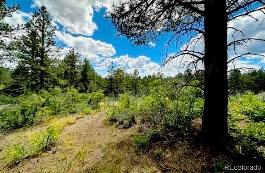 550 Deer Trl, Pagosa Springs, CO 81147