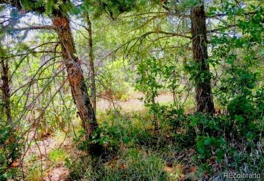 550 Deer Trl, Pagosa Springs, CO 81147
