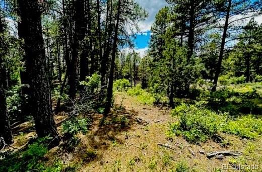 550 Deer Trl, Pagosa Springs, CO 81147