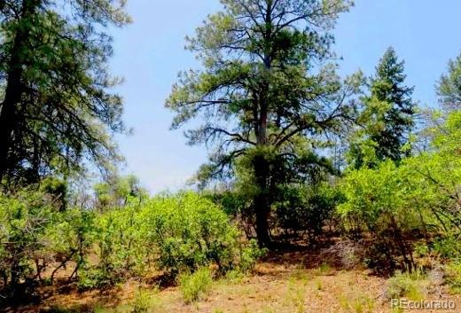 550 Deer Trl, Pagosa Springs, CO 81147