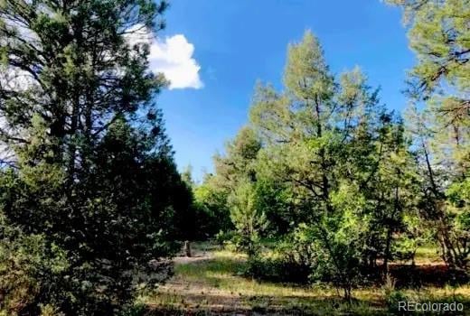 131 Retreat Ct, Pagosa Springs, CO 81147