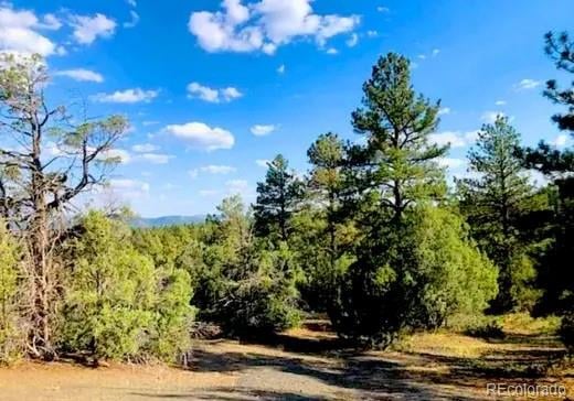 131 Retreat Ct, Pagosa Springs, CO 81147