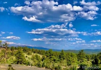 131 Retreat Ct, Pagosa Springs, CO 81147
