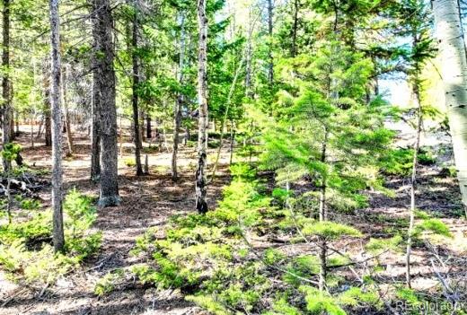 2222 Swift Claim Rd, Georgetown, CO 80444