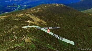 2222 Swift Claim Rd, Georgetown, CO 80444