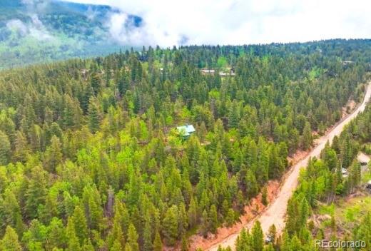 2222 Swift Claim Rd, Georgetown, CO 80444