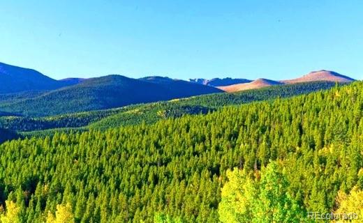 2222 Swift Claim Rd, Georgetown, CO 80444