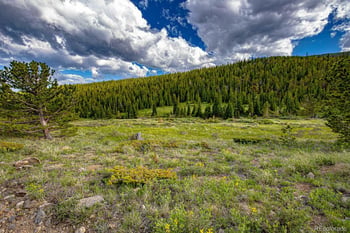 123 Mosquito Creek Rd, Black Hawk, CO 80422