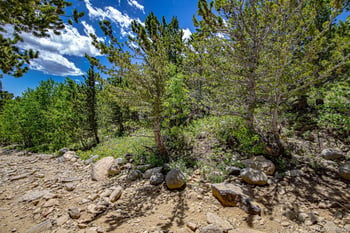 123 Yankee Hill Trl, Black Hawk, CO 80427