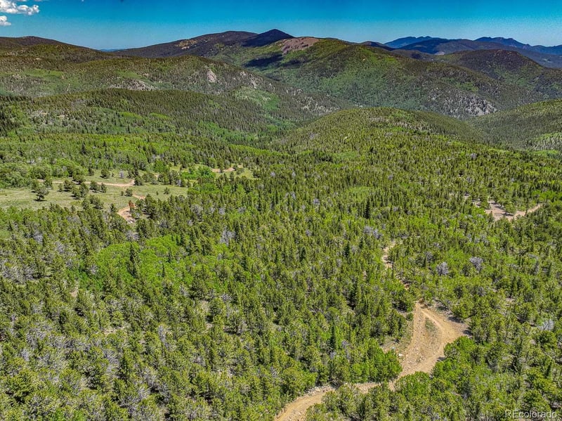 123 Yankee Hill Trl, Black Hawk, CO 80427