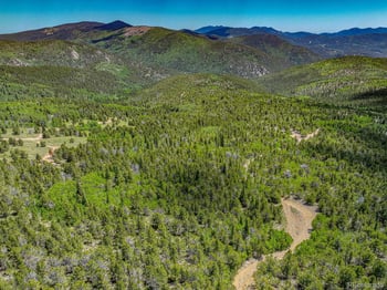 123 Yankee Hill Trl, Black Hawk, CO 80427
