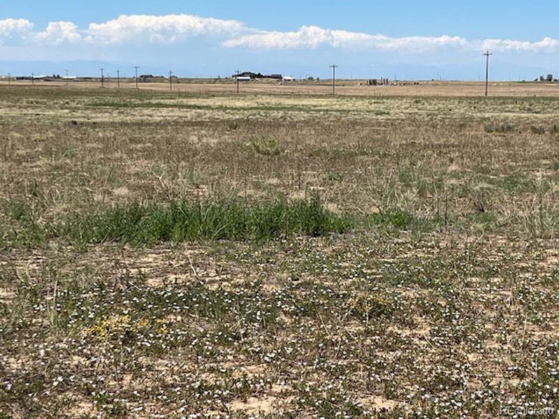 Manila , Watkins, CO 80137