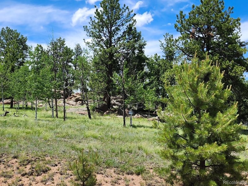 501 Cr 403 , Florissant, CO 80816