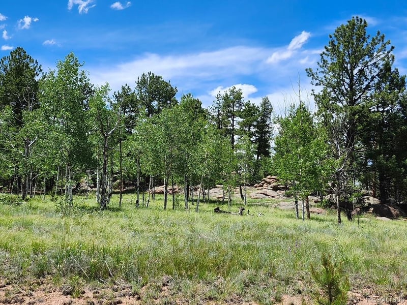 501 Cr 403 , Florissant, CO 80816