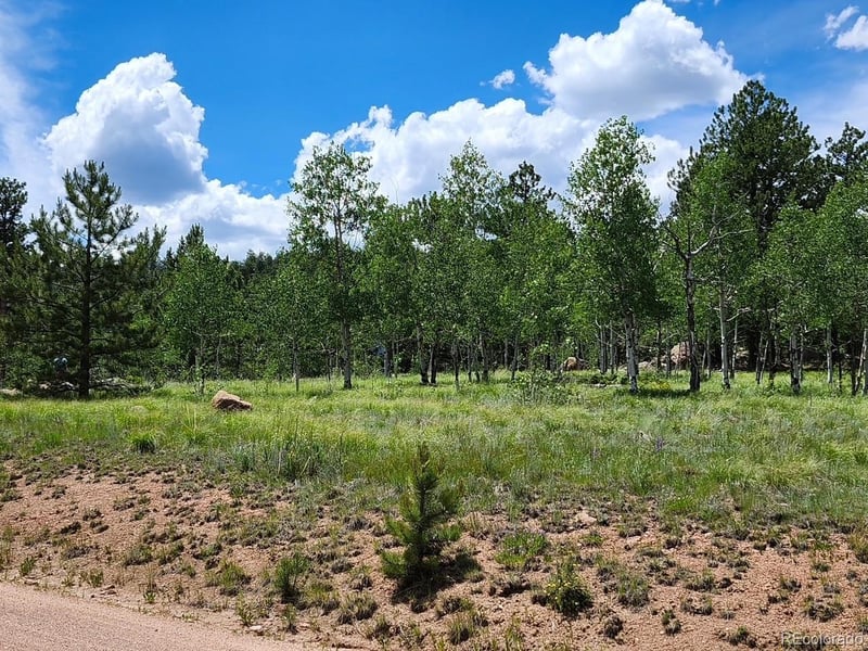 501 Cr 403 , Florissant, CO 80816