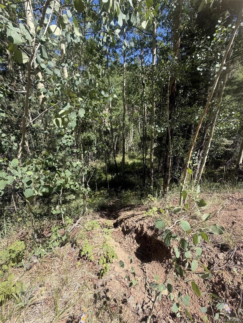 Kawasaki Lot 5662, San Luis, CO 81152
