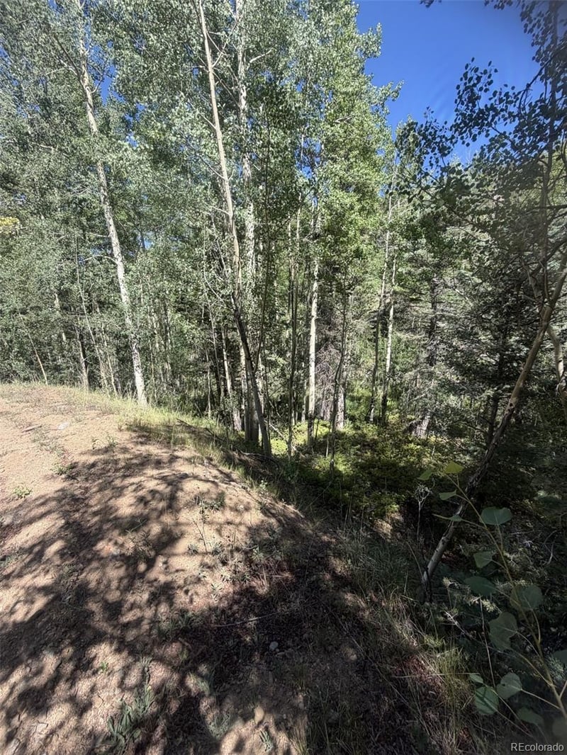 Kawasaki Lot 5662, San Luis, CO 81152