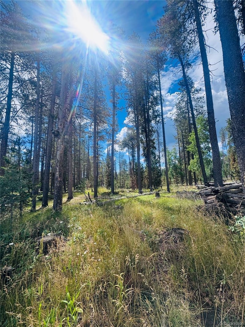 Lot 2m Vickery Ave, Conifer, CO 80433
