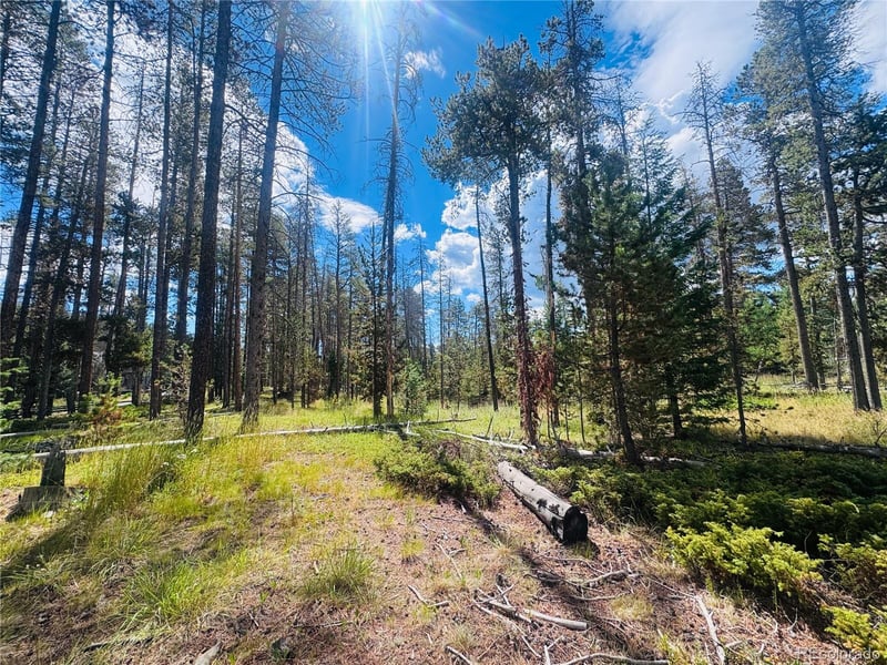 Lot 2m Vickery Ave, Conifer, CO 80433