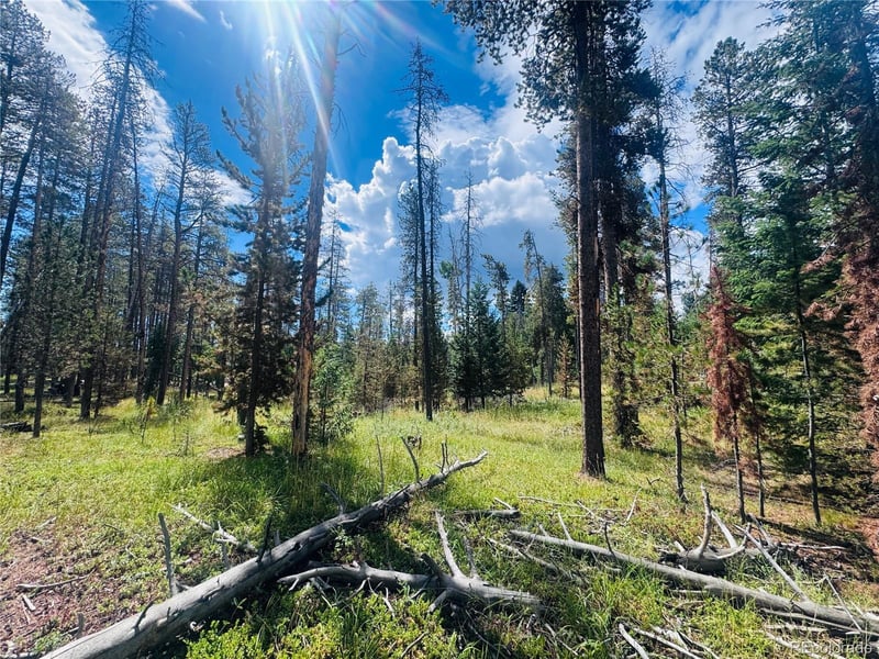Lot 2m Vickery Ave, Conifer, CO 80433