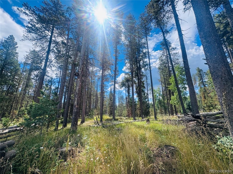 Lot 2m Vickery Ave, Conifer, CO 80433