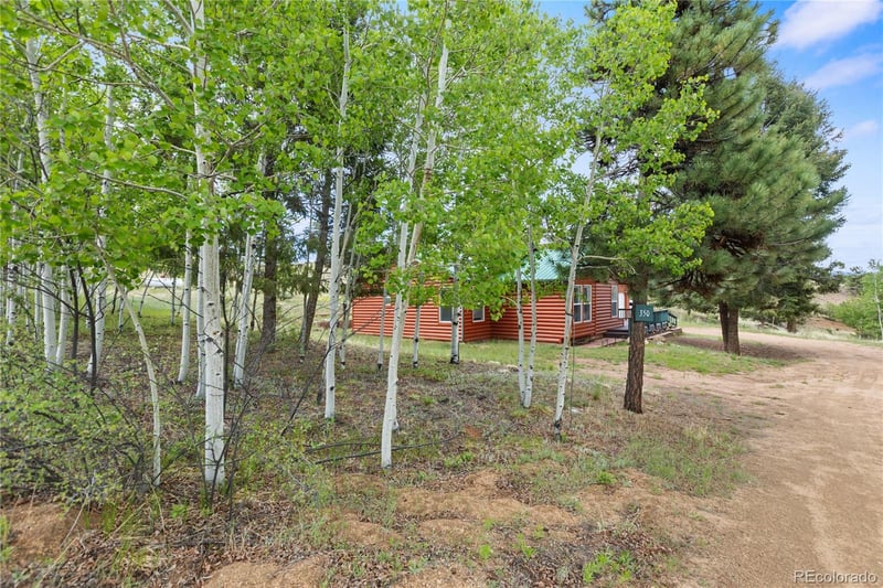 350 Brooks Ln, Woodland Park, CO 80863