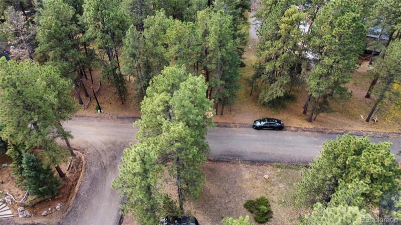 26698 De Berry St, Conifer, CO 80433