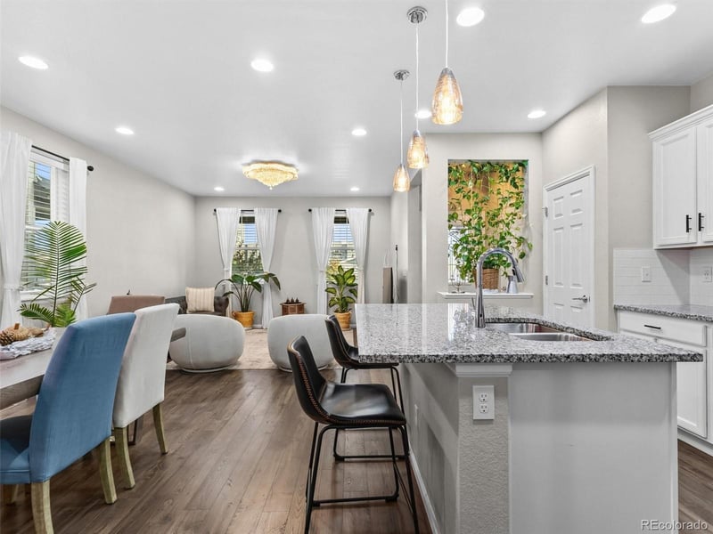 18809 E 66th Ave, Denver, CO 80249