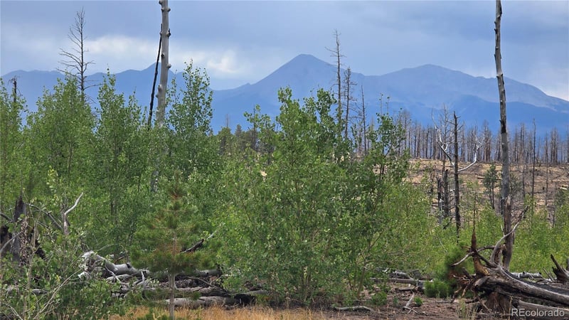Lot 1177 Bechtel Pl, Fort Garland, CO 81133