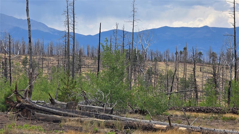 Lot 1177 Bechtel Pl, Fort Garland, CO 81133