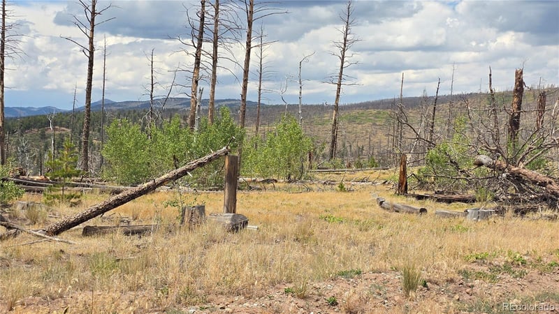 Lot 1177 Bechtel Pl, Fort Garland, CO 81133
