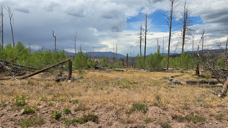 Lot 1177 Bechtel Pl, Fort Garland, CO 81133