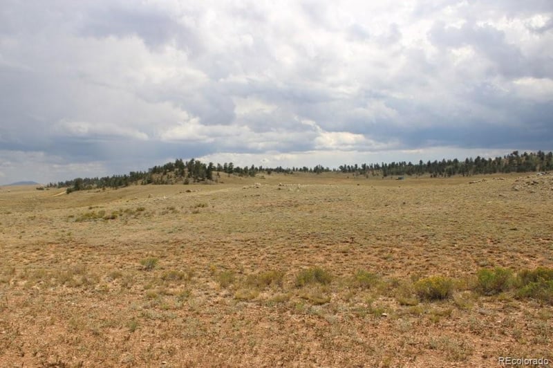 389 Chipita Trl Lot 01, Hartsel, CO 80449