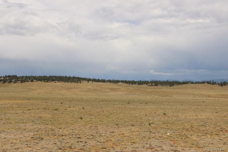 389 Chipita Trl Lot 01, Hartsel, CO 80449