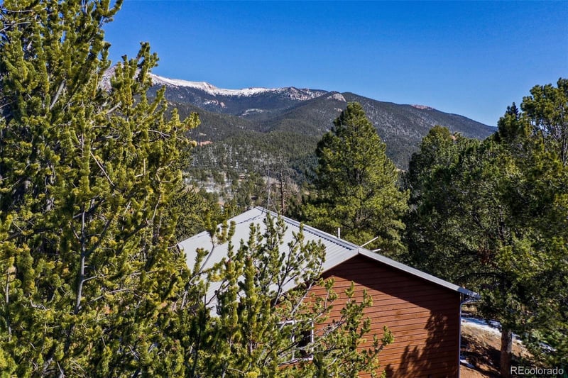 493 Horseshoe Dr, Divide, CO 80814