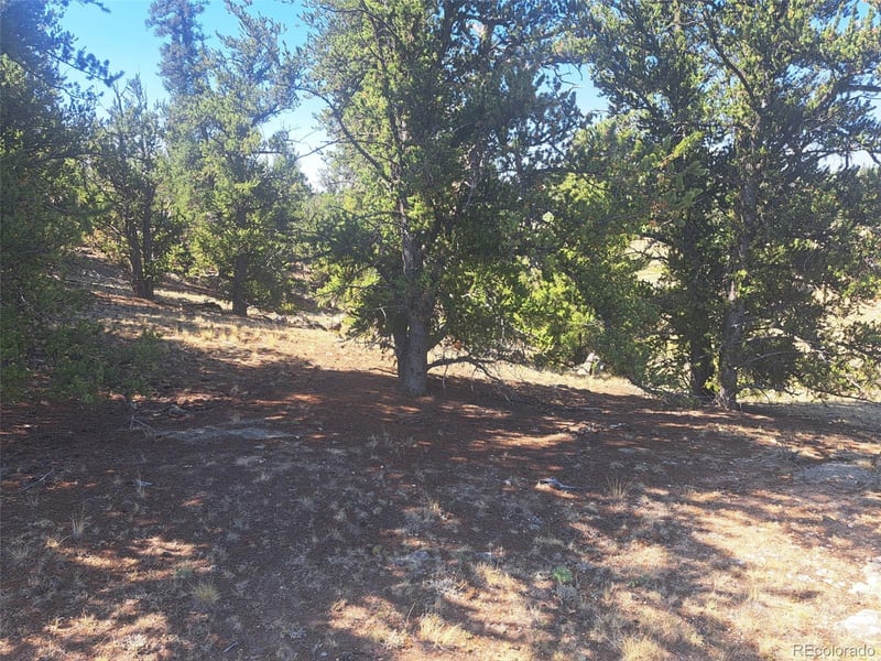 481 Ramrod Way, Como, CO 80432