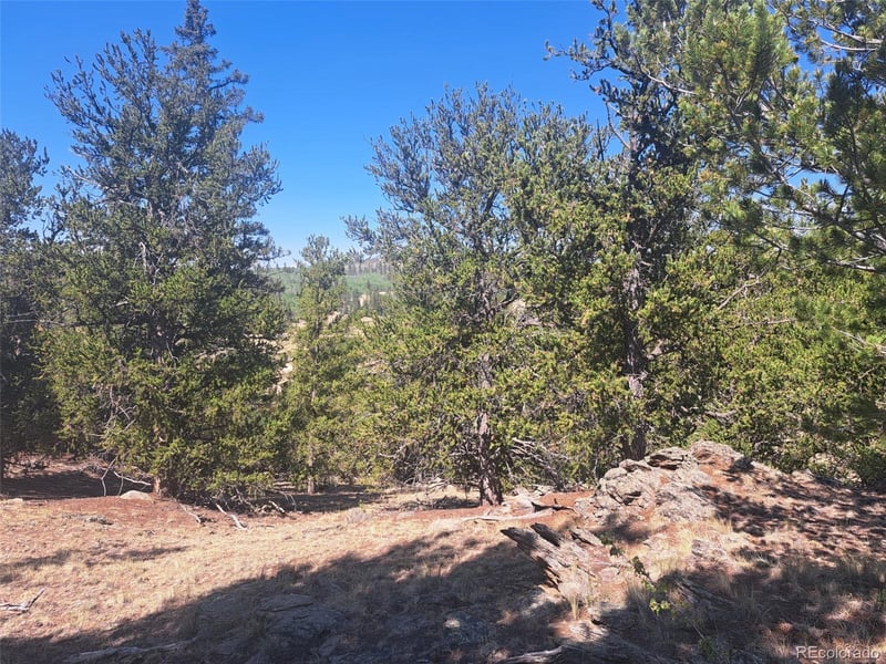 481 Ramrod Way, Como, CO 80432