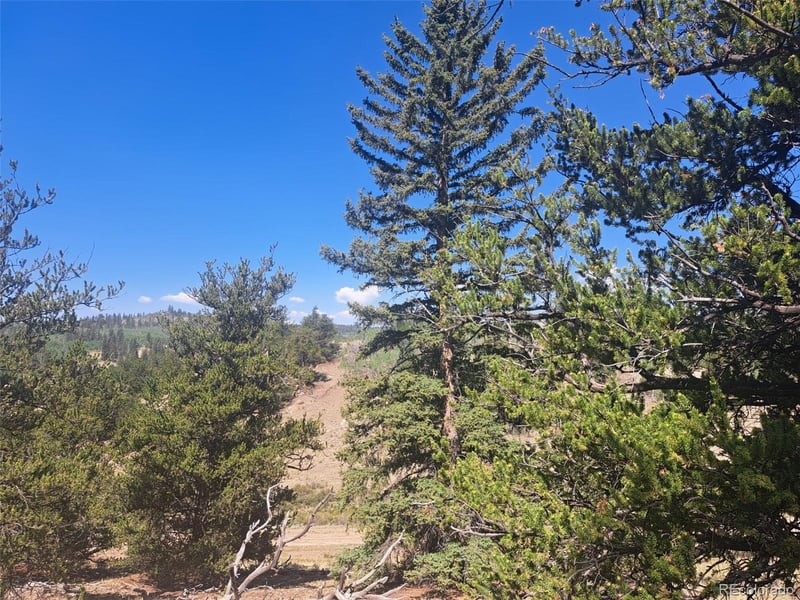 481 Ramrod Way, Como, CO 80432