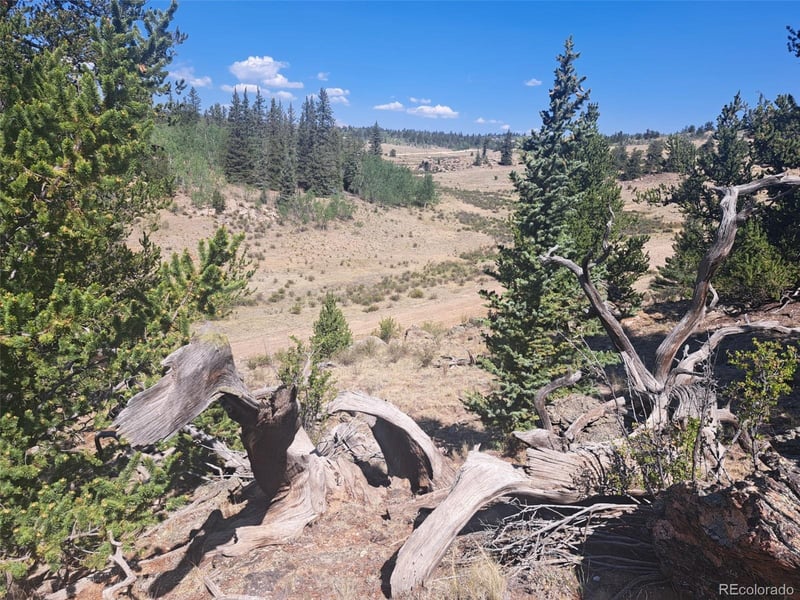 481 Ramrod Way, Como, CO 80432