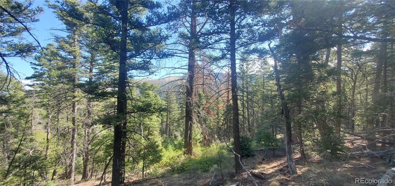 Lot 5273 Vivian Rd Lot 5273, Fort Garland, CO 81133