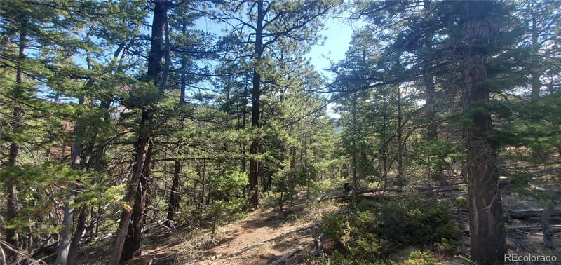 Lot 5273 Vivian Rd Lot 5273, Fort Garland, CO 81133