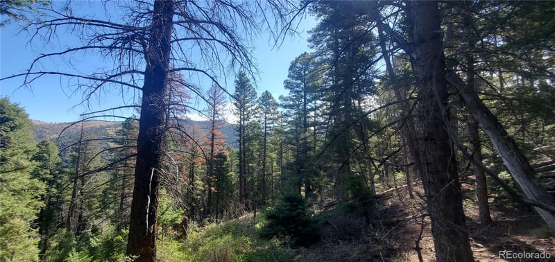 Lot 5273 Vivian Rd Lot 5273, Fort Garland, CO 81133